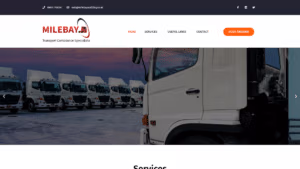 Milebay Auditing Website Portfolio Image - Hero image created by website designer in ware
